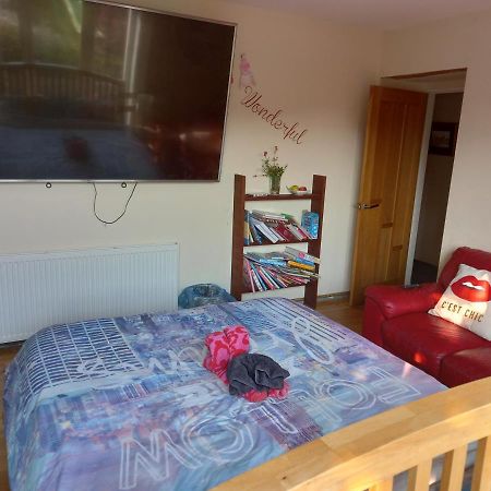 Appartamento No 9 Manor Way Carmarthen Esterno foto